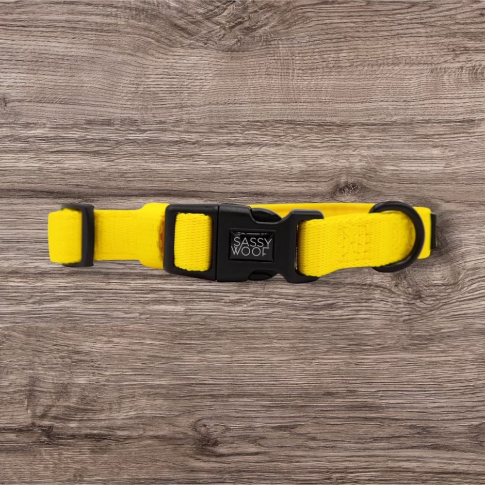 NWOT Sassy Woof Dog Collar - Neon Yellow